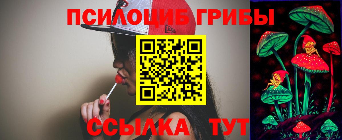 Саяногорск  Галлюциногенные грибы Psilocybe  Вход с VPN 